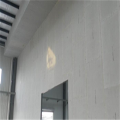 鹤庆宁波ALC板|EPS加气板隔墙与混凝土整浇联接的实验研讨